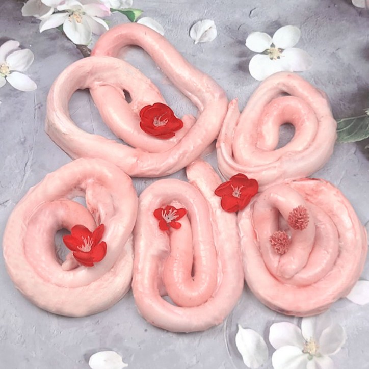 한우소우신1kg 강아지수제간식용 오래먹는껌 불리스틱 한우소우신1kg 강아지수제간식용 오래먹는껌 불리스틱