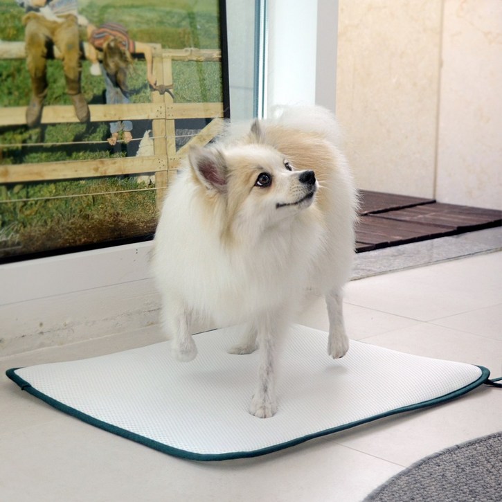 오놀라 씻어쓰는 빨아쓰는 3D매쉬 강아지 배변패드, 1개입, 1개