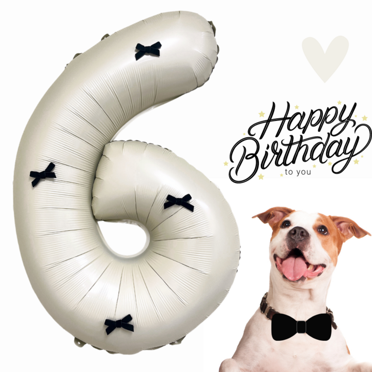 오뉴 숫자풍선 이벤트풍선 파티풍선 생일풍선 대형 꽃 헬륨
