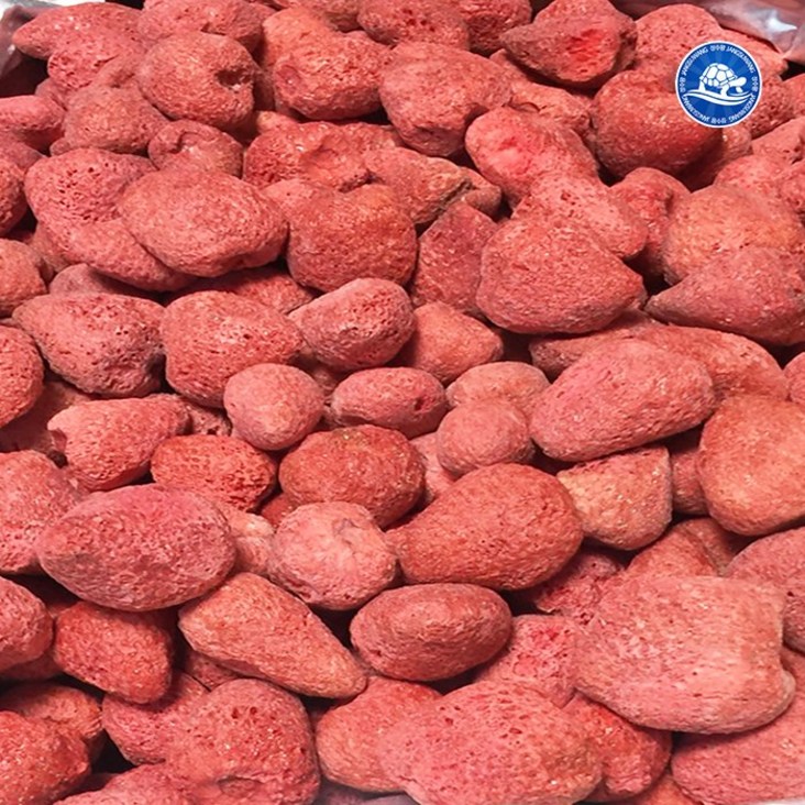 장수왕 딸기칩 200g, 1kg 모음 /동결건조 과일칩 야채칩 건조딸기 건딸기 - 쌍투몰