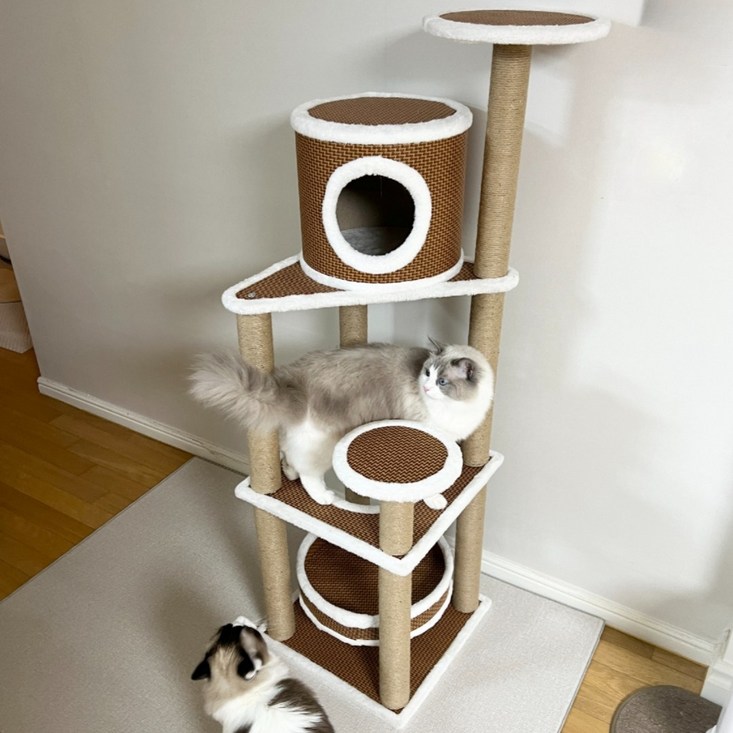 펫카 고양이 튼튼 스크래쳐 하우스 캣타워 PTWT01, 1RO