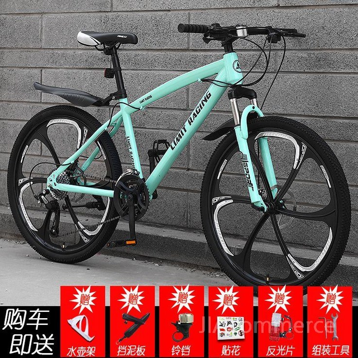 트랙 자전거 로드 바이크 카본 인치 입문용로드자전거 21, 24인치, 6블레이드-비안치