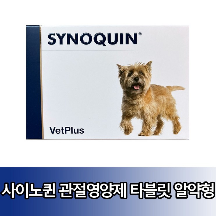 뱃플러스 사이노퀸 소형견 관절영양제 뱃플러스 사이노퀸 소형견 관절영양제