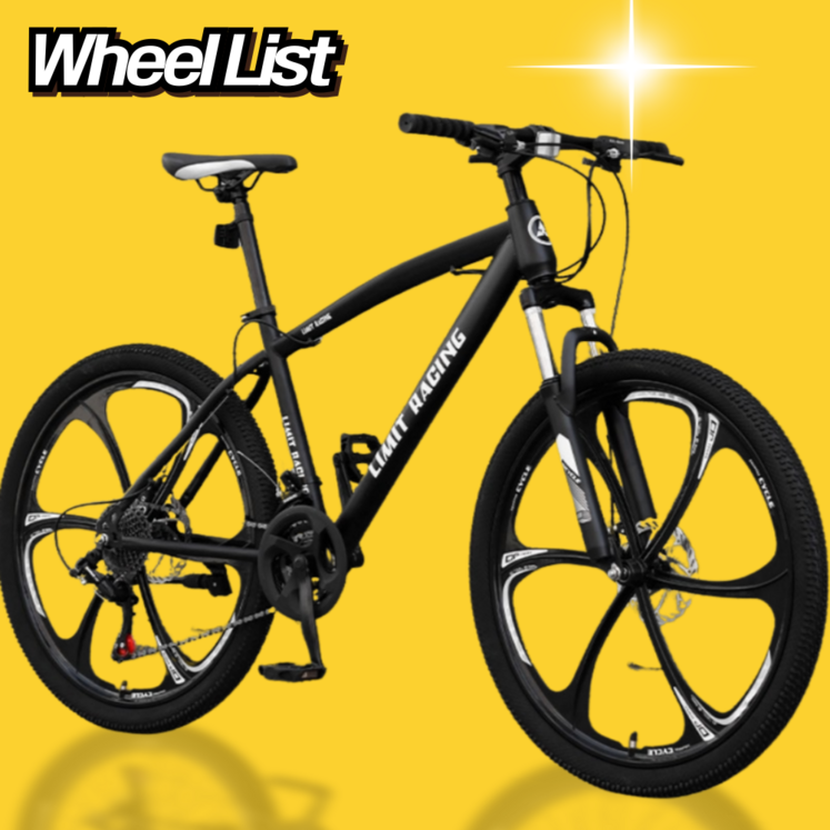 라이프휠 MTB 자전거 24인치 26인치 사이클 싸이클 바이크 라이딩 성인 입문용 산악, 60.96cm, 블랙, 1개