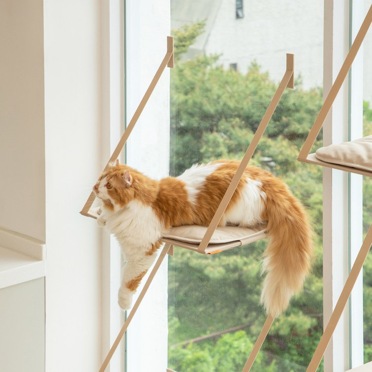 고양이캣폴 애니멀리프 접을 수 있는 창문 캣타워 / 고양이 원목 소형 미니 대형 계단 캣워크 캣워커