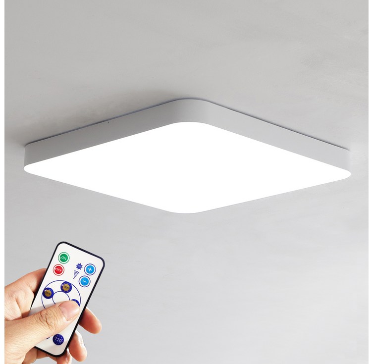 조명에반하다 LED 심플 60W 리모컨 방등