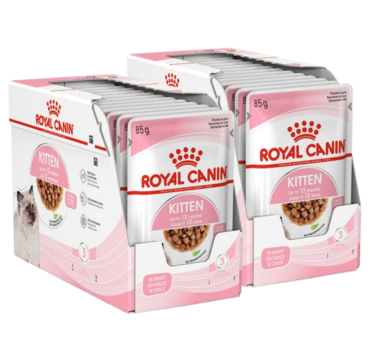 로얄캐닌 고양이 사료 키튼 그레이비 습식 85G X 24개 면역력 강화 도움, 24개, 85g, 닭